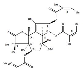 高效查詢化工產品CAS號 以洛克化工網第171頁為例的快速索引指南
